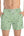 Palm Club Swim Trunks